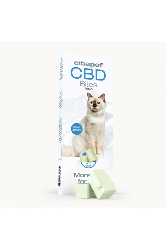 Hemp treats for outlet cats