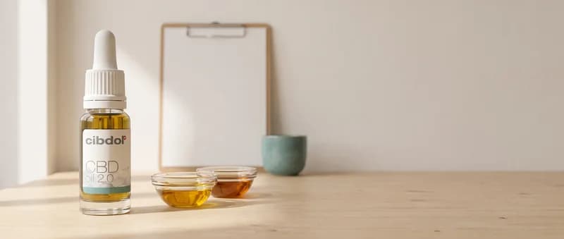 A white bottle of cibdol CBD oil 2.0 beside two small glass bowls of amber oil in slightly different shades