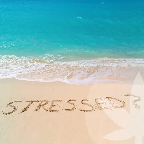 4 Simple Principles To Keep Stress Under Control