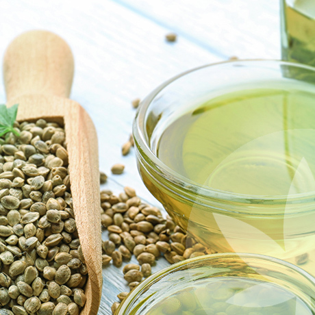 Hemp Seed Oil Vs Olive Oil, Which Is Better?