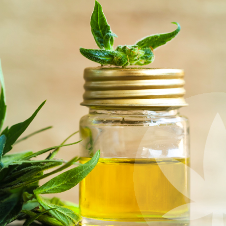 What Does CBD Oil Taste Like?