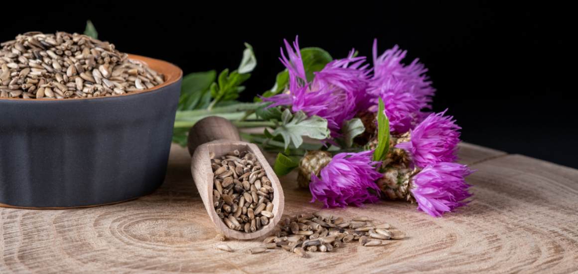 Milk Thistle and Liver Health