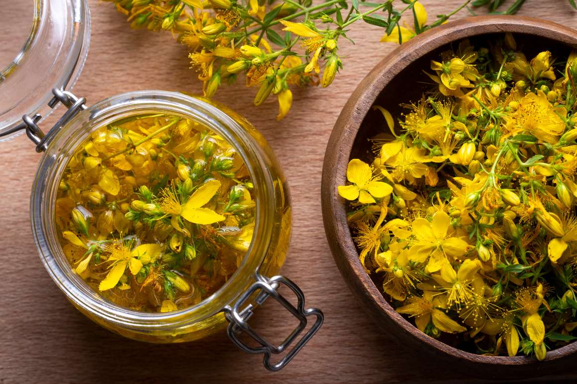 St. John's Wort : Uses, Benefits, and Interactions